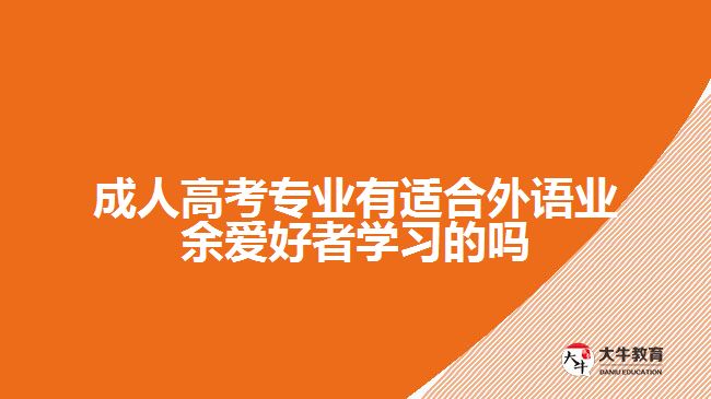 成人高考專業(yè)有適合外語業(yè)余愛好者學習的嗎