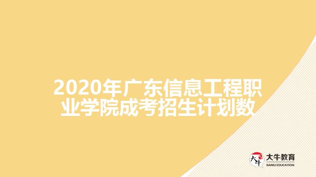 2020年廣東信息工程職業(yè)學院成考招生計劃數(shù)