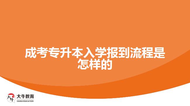 成考專升本入學報到流程是怎樣的