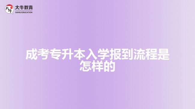 成考專升本入學(xué)報到流程是怎樣的