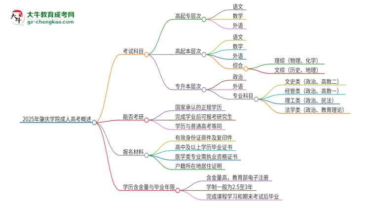 2025年肇慶學院成人高考入學考試考幾科？思維導圖