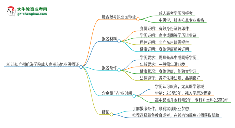 2025年廣州航海學(xué)院的成人高考學(xué)歷能報(bào)考執(zhí)業(yè)醫(yī)師證嗎？思維導(dǎo)圖