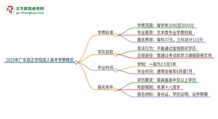 2025年廣東培正學(xué)院成人高考一年學(xué)費(fèi)要多少？思維導(dǎo)圖