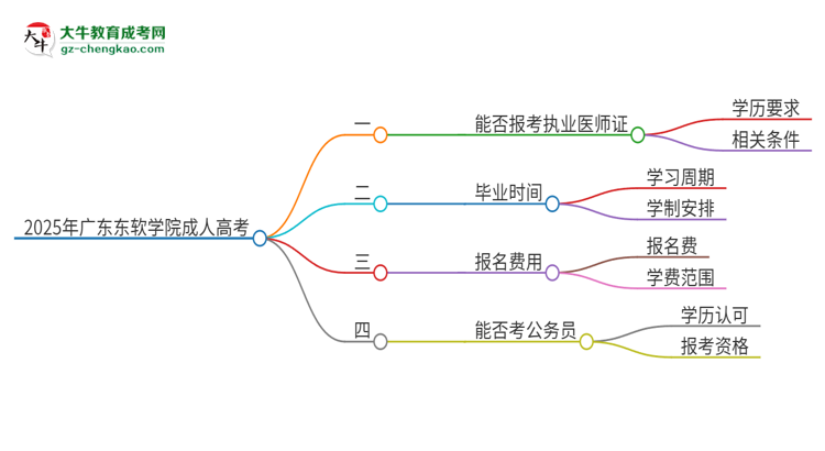 2025年廣東東軟學(xué)院的成人高考學(xué)歷能報(bào)考執(zhí)業(yè)醫(yī)師證嗎？思維導(dǎo)圖