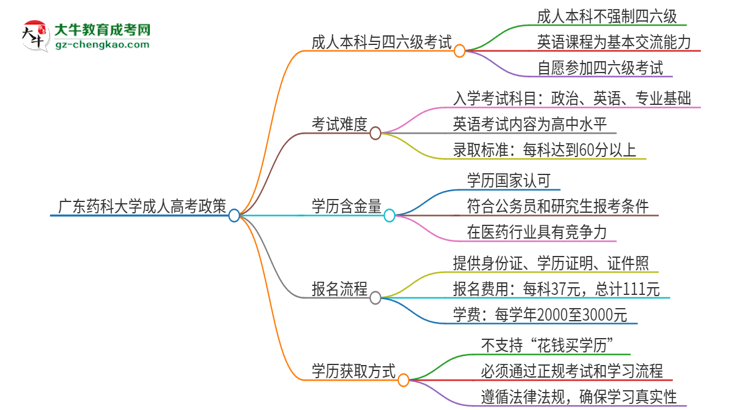 廣東藥科大學(xué)2025年成人本科學(xué)生能參加四六級考試嗎？思維導(dǎo)圖