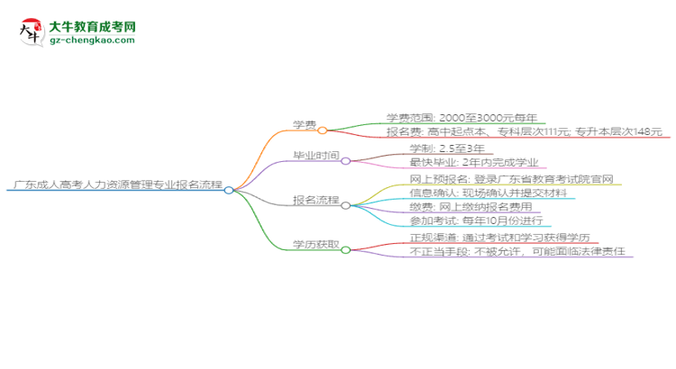 廣東成人高考人力資源管理專業(yè)2025年報名流程思維導圖