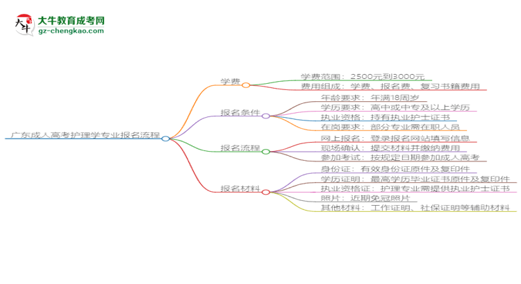 廣東成人高考護(hù)理學(xué)專業(yè)2025年報(bào)名流程思維導(dǎo)圖