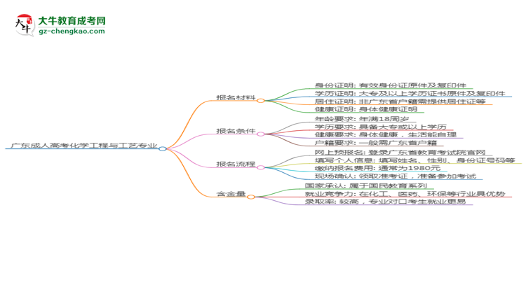 廣東2025年成人高考化學(xué)工程與工藝專業(yè)學(xué)歷能考公嗎？思維導(dǎo)圖