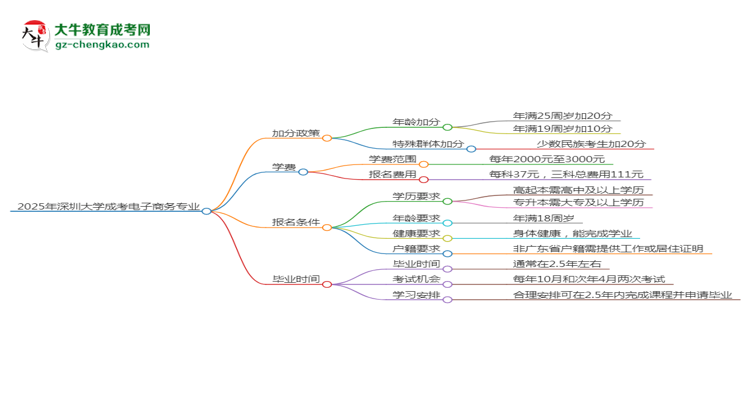 2025年深圳大學(xué)成考電子商務(wù)專(zhuān)業(yè)最新加分政策及條件思維導(dǎo)圖