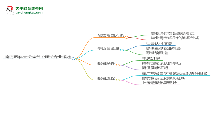 南方醫(yī)科大學(xué)2025年成考護(hù)理學(xué)專業(yè)生可不可以考四六級(jí)？思維導(dǎo)圖