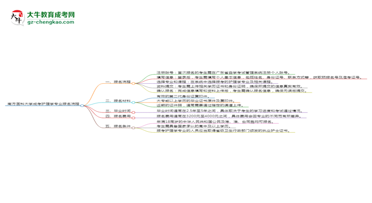 南方醫(yī)科大學(xué)成考護(hù)理學(xué)專業(yè)2025年報(bào)名流程思維導(dǎo)圖