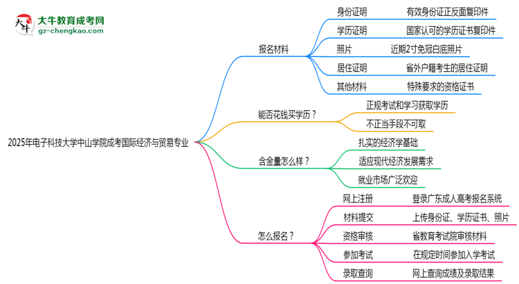 2025年電子科技大學中山學院成考國際經(jīng)濟與貿(mào)易專業(yè)報名材料需要什么？思維導圖