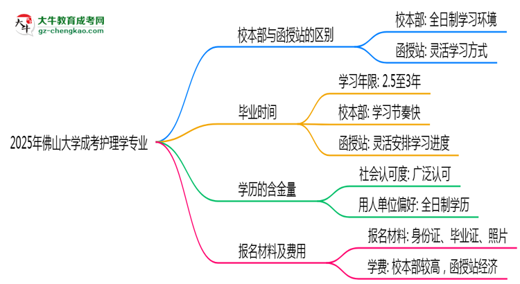 佛山大學2025年成考護理學專業(yè)校本部和函授站哪個更好？思維導圖