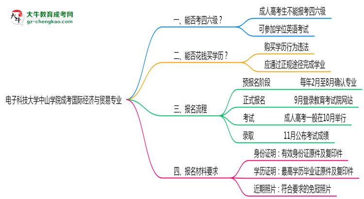 電子科技大學(xué)中山學(xué)院2025年成考國(guó)際經(jīng)濟(jì)與貿(mào)易專業(yè)生可不可以考四六級(jí)？思維導(dǎo)圖