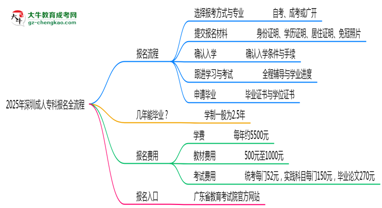 3分鐘讀懂：2025深圳成人?？票究茍竺鞒趟季S導(dǎo)圖