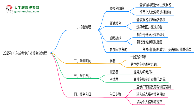 3分鐘讀懂：2025廣東成考專升本本科報名全流程思維導圖