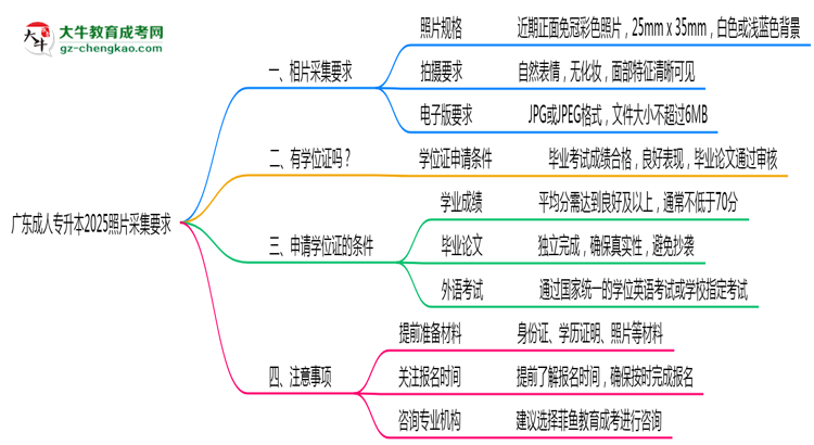 廣東成人專升本2025照片采集要求官方標(biāo)準(zhǔn)思維導(dǎo)圖