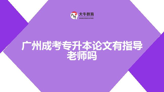 廣州成考專升本論文有指導老師嗎