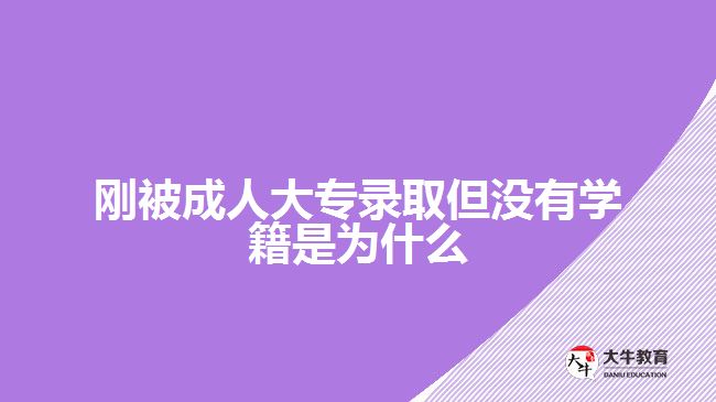 剛被成人大專錄取但沒有學(xué)籍是為什么