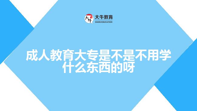 成人教育大專(zhuān)是不是不用學(xué)什么東西的呀