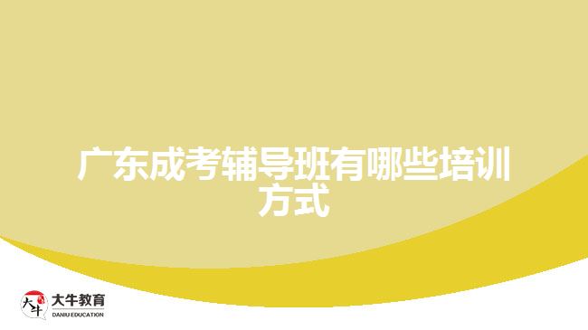 廣東成考輔導班有哪些培訓方式