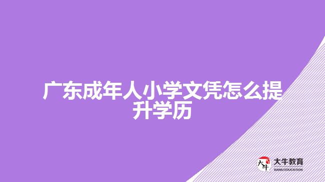 廣東成年人小學文憑怎么提升學歷