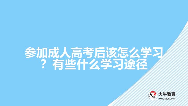 參加成人高考后該怎么學(xué)習(xí)？有些什么學(xué)習(xí)途徑