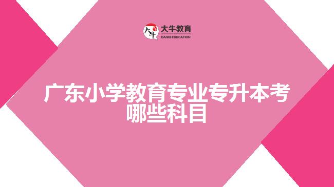 廣東小學(xué)教育專業(yè)專升本考哪些科目