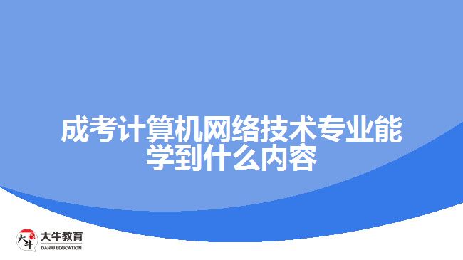 成考計算機網(wǎng)絡技術專業(yè)能學到什么內(nèi)容