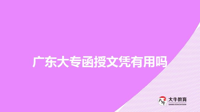 廣東大專函授文憑有用嗎