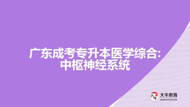 廣東成考專升本醫(yī)學綜合:中樞神經(jīng)系統(tǒng)