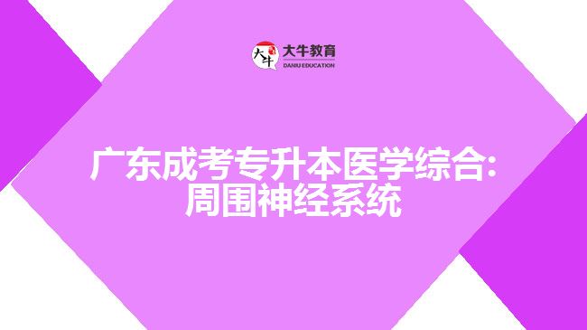 廣東成考專升本醫(yī)學綜合:周圍神經(jīng)系統(tǒng)