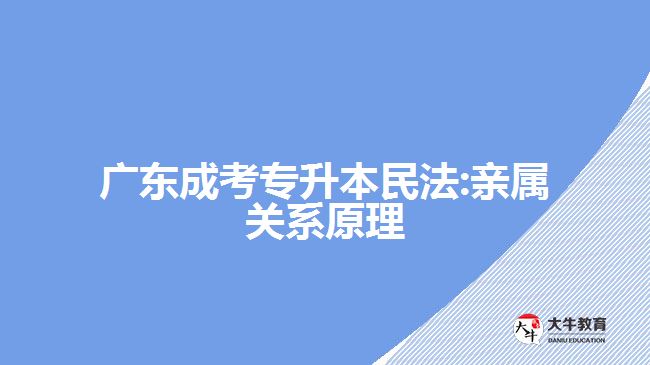 廣東成考專升本民法:親屬關系原理