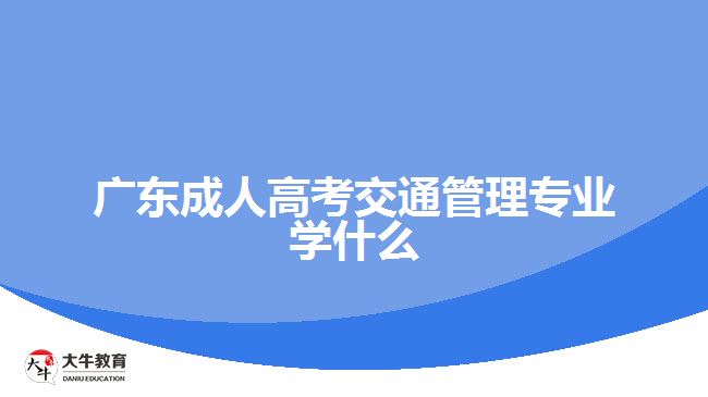 廣東成人高考交通管理專業(yè)學(xué)什么