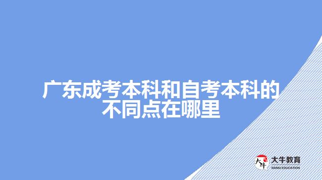 廣東成考本科和自考本科的不同點在哪里