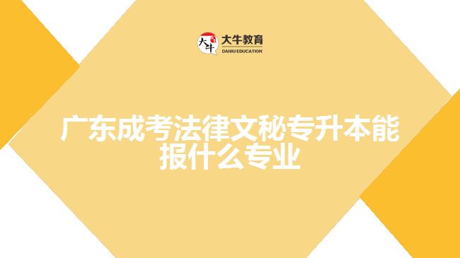 廣東成考法律文秘專升本能報(bào)什么專業(yè)