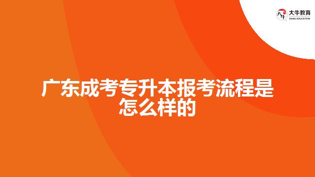 廣東成考專升本報考流程是怎么樣的