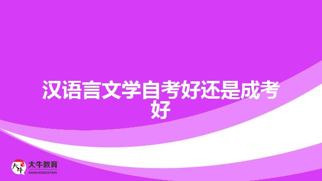 漢語言文學(xué)自考好還是成考好