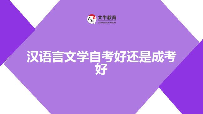 漢語言文學自考好還是成考好