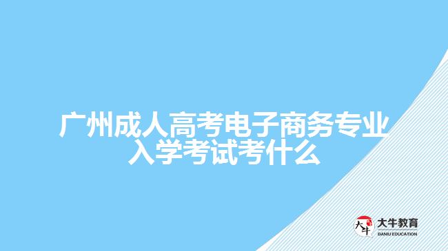 廣州成人高考電子商務(wù)專業(yè)入學(xué)考試