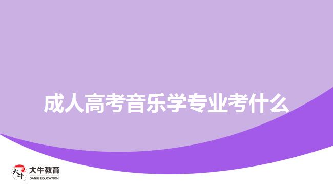 成人高考音樂學專業(yè)考什么