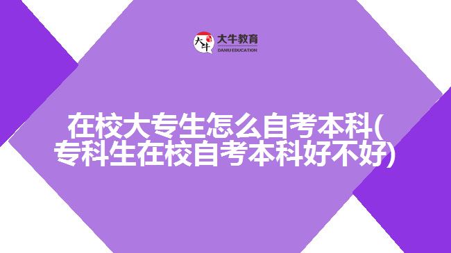 在校大專生怎么自考本科(專科生在校自考本科好不好)