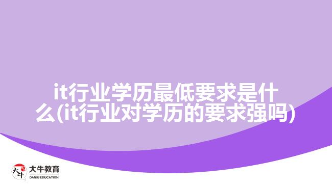 it行業(yè)學(xué)歷最低要求是什么