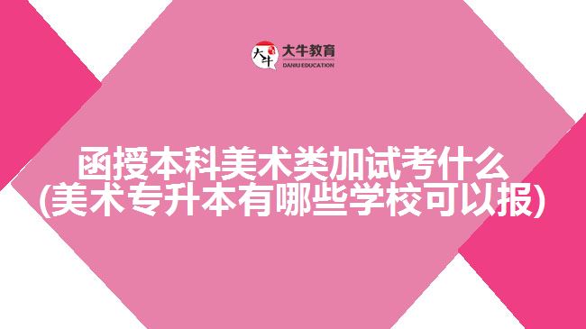 函授本科美術(shù)類加試考什么