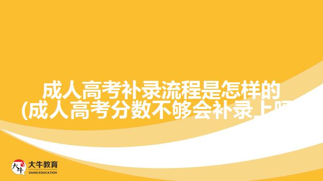 成人高考補錄流程是怎樣的(成人高考分?jǐn)?shù)不夠會補錄上嗎)