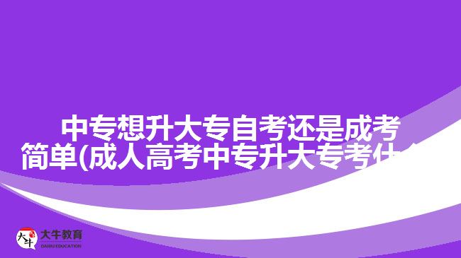 中專想升大專自考還是成考簡單(成人高考中專升大?？际裁?