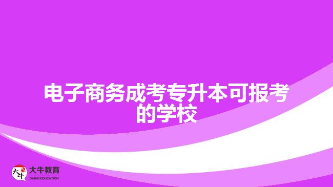 電子商務(wù)成考專升本可報考的學校