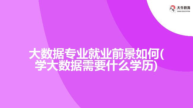 大數(shù)據(jù)專業(yè)就業(yè)前景如何(學大數(shù)據(jù)需要什么學歷)