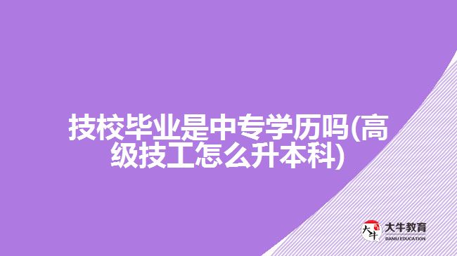 技校畢業(yè)是中專學歷嗎(高級技工怎么升本科)