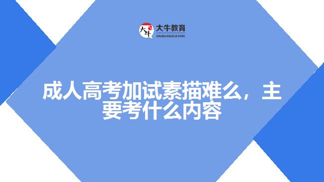 成人高考加試素描難么，主要考什么內(nèi)容